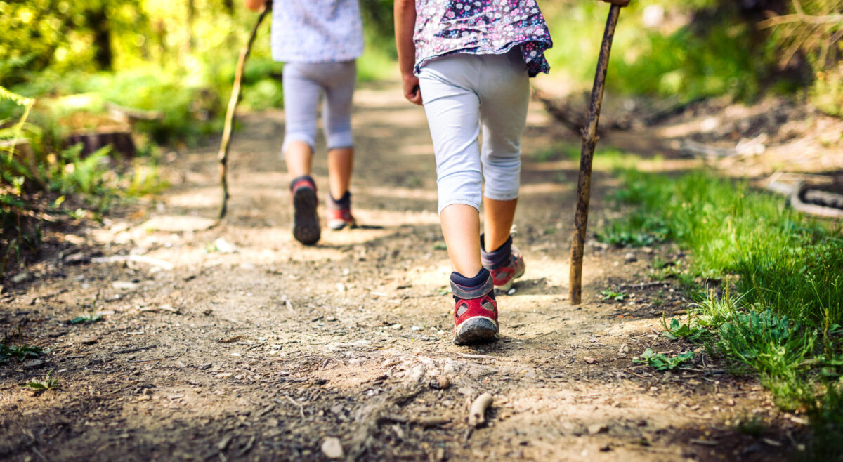 Two walkers on a country path